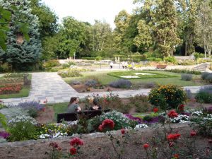 Rosengarten_fidelis45 Rosengarten_fidelis45