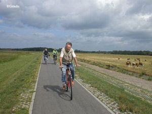 Bodden Bodden
