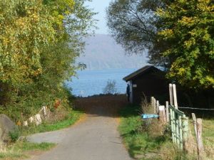 Laacher See_Irrwisch Laacher See_Irrwisch