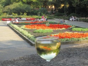 Weinfest_2 Weinfest_2