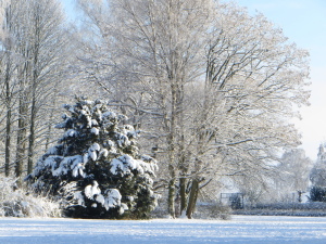Wer kennt noch den Winter Wer kennt noch den Winter