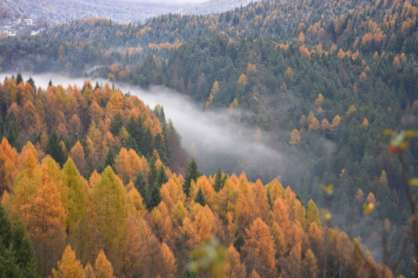 Blick auf herbstlich Wälder und Nebel über dem Tal Blick auf herbstlich Wälder und Nebel über dem Tal