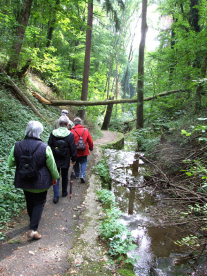Bekanntschaft mit den schatzsuchern weg zu den schätzen