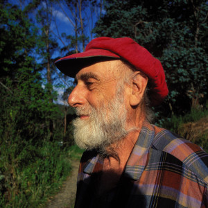 Hundertwasser Hundertwasser