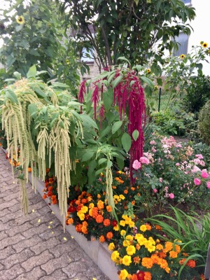Was liegt mir am Herzen. Unser Zusammenleben und dann kommt, so glaube ich, unser Garten. Was liegt mir am Herzen. Unser Zusammenleben und dann kommt, so glaube ich, unser Garten.