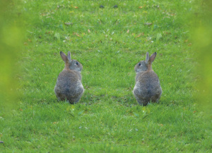 Was gibt es Schöneres als sich mit einem Freund auszutauschen. Es vertreibt die Einsamkeit. Der Natur zu lauschen und zu genießen. Eine echte Freundschaft wird nie untergehn. Was gibt es Schöneres als sich mit einem Freund auszutauschen. Es vertreibt die Einsamkeit. Der Natur zu lauschen und zu genießen. Eine echte Freundschaft wird nie untergehn.