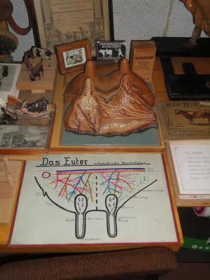 Milchmuseum Hildburghausen15_JB.jpg Milchmuseum Hildburghausen15_JB.jpg