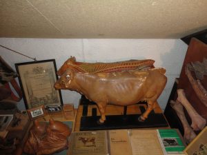 Milchmuseum Hildburghausen16_JB.jpg Milchmuseum Hildburghausen16_JB.jpg