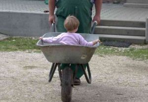 Schubkarren Schubkarren