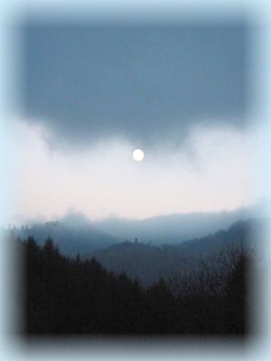 mond mond