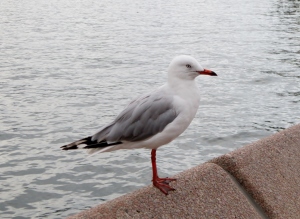 IMG_2661.JPG IMG_2661.JPG