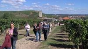 Weinprobe Weinprobe