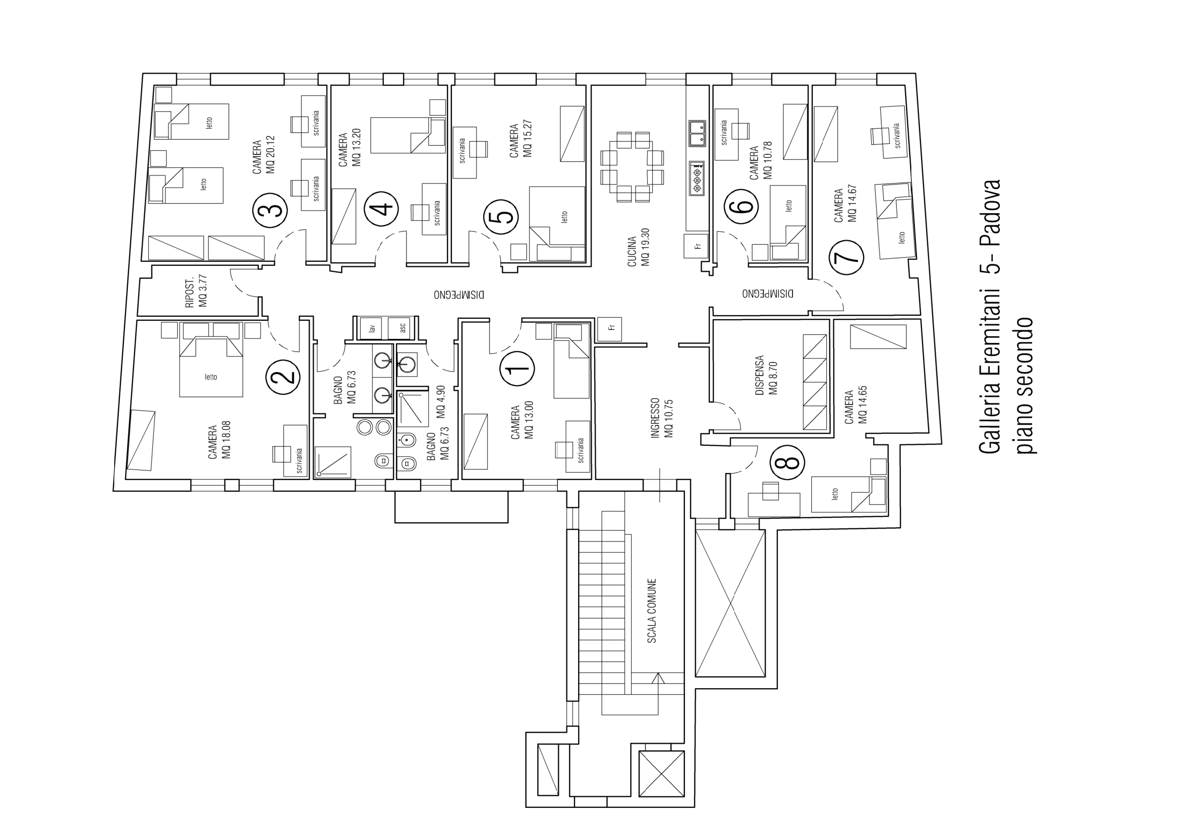 Planimetria - 3.1 SALICE