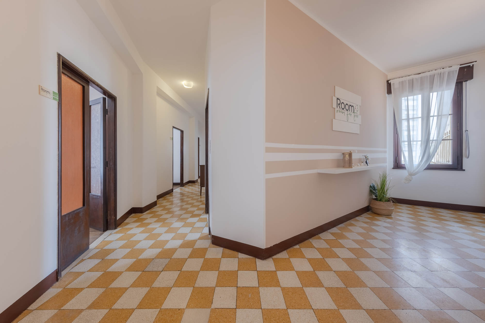 1. LIGUSTRELLO