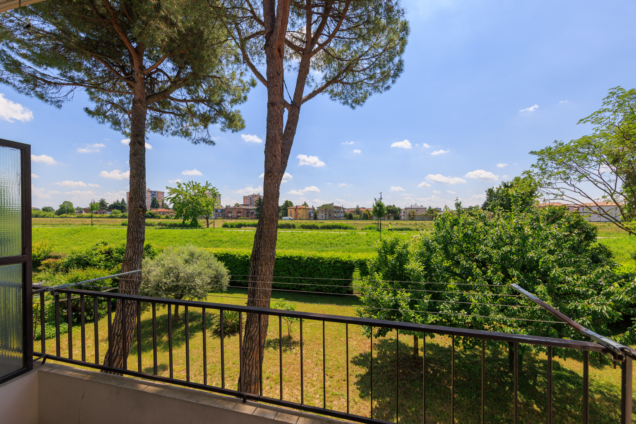 1.1 LIGUSTRELLO