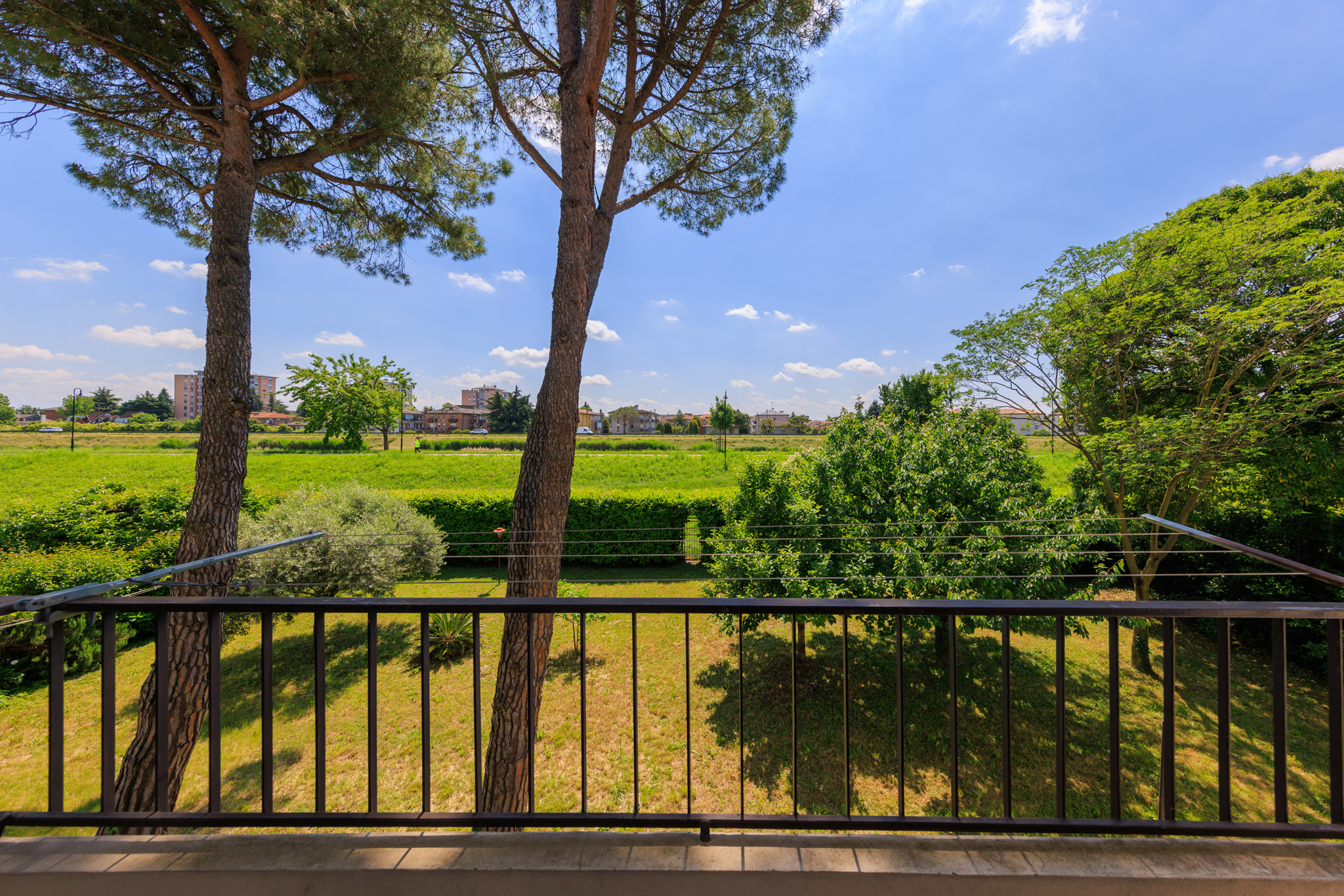 1.2 LIGUSTRELLO