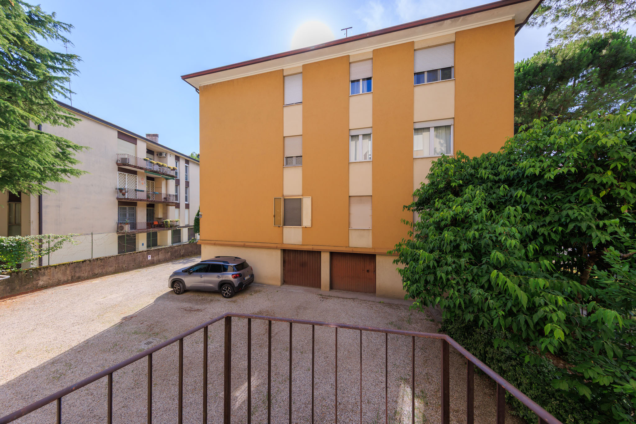 6. TIGLIO