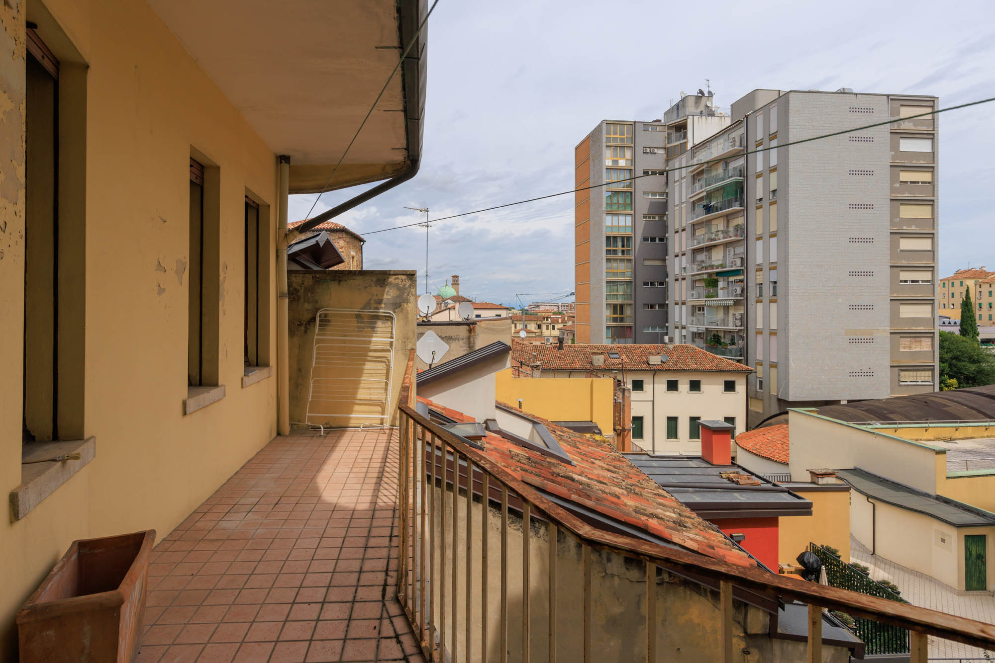 1. LIGUSTRELLO