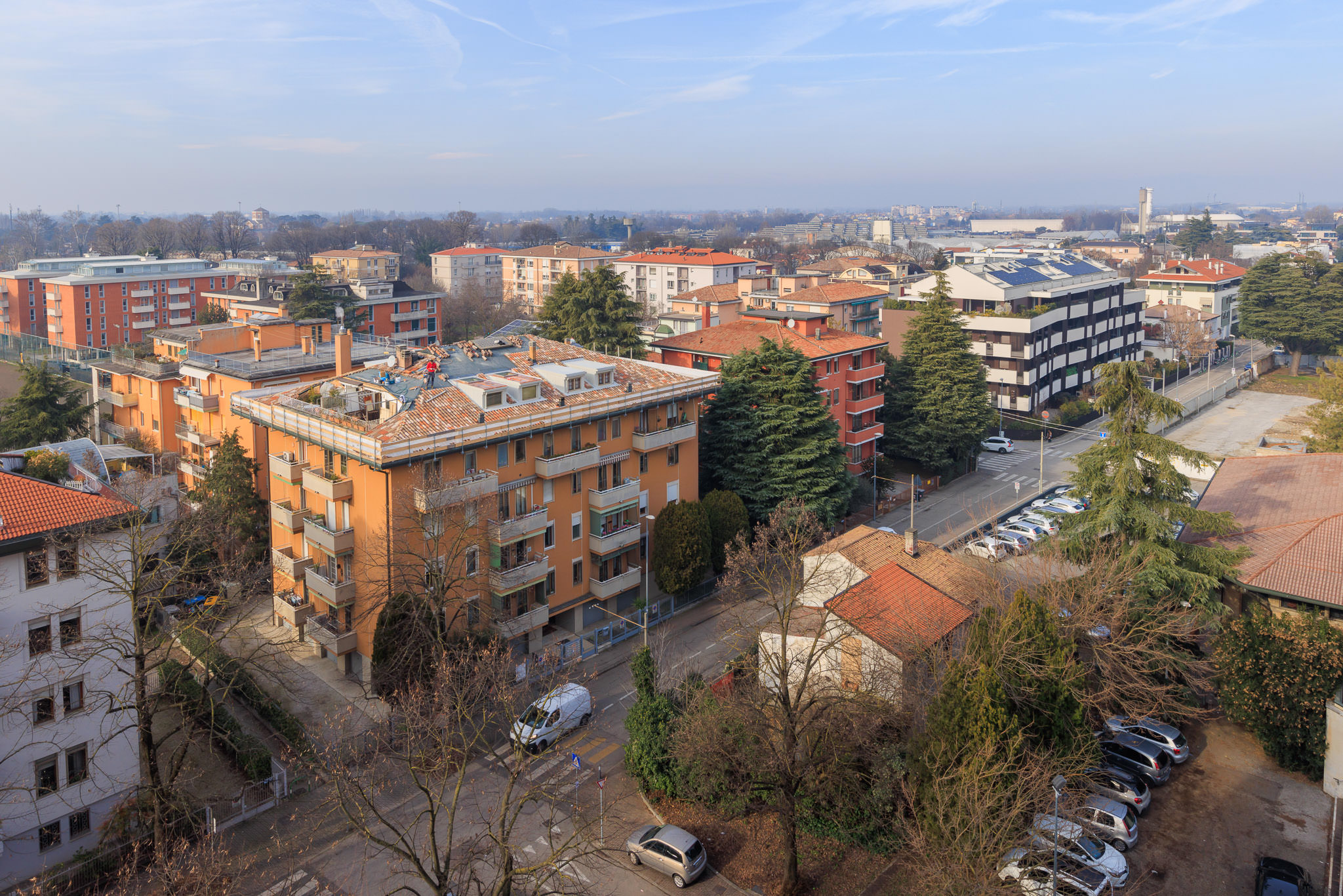 1. LIGUSTRELLO
