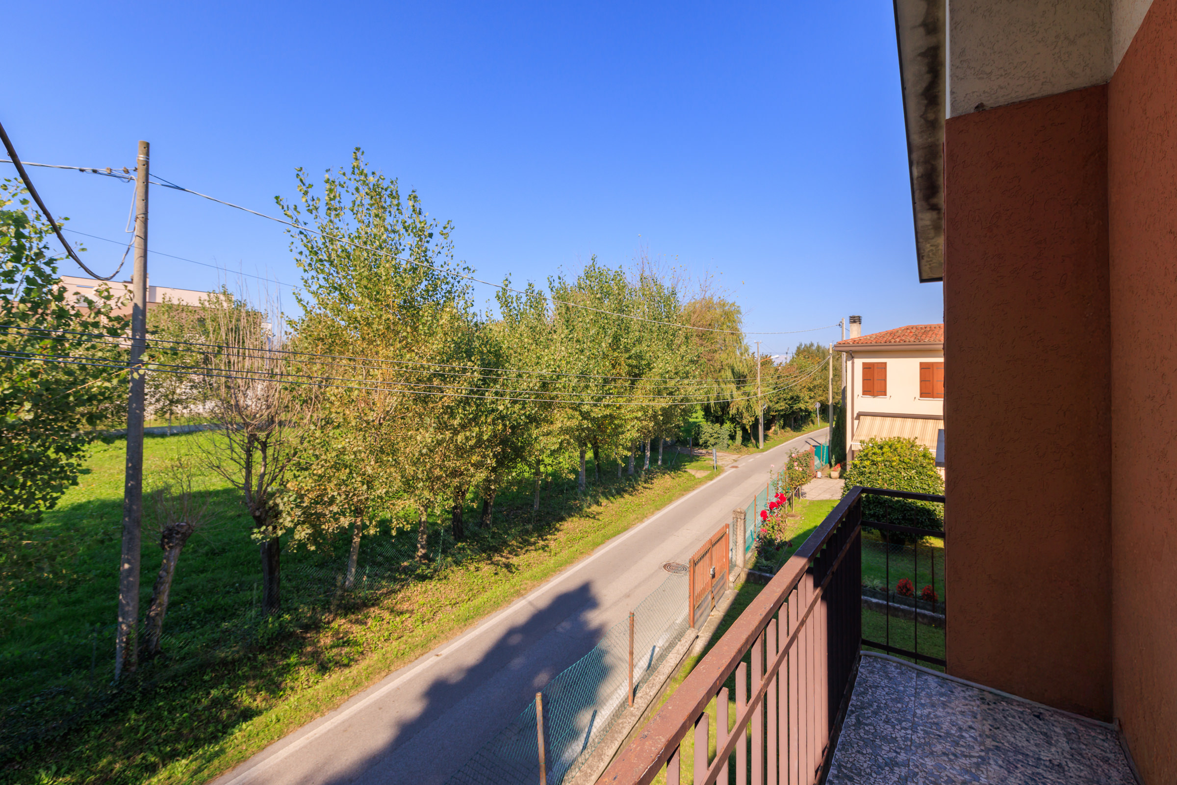 2. NOCCIOLO