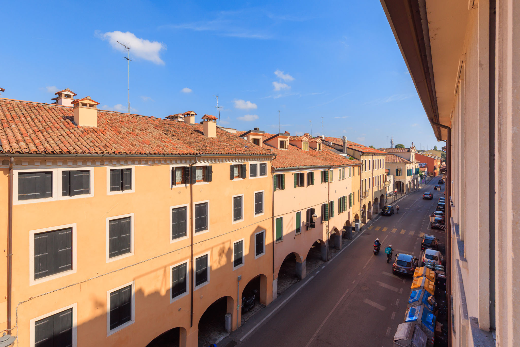 6. TIGLIO