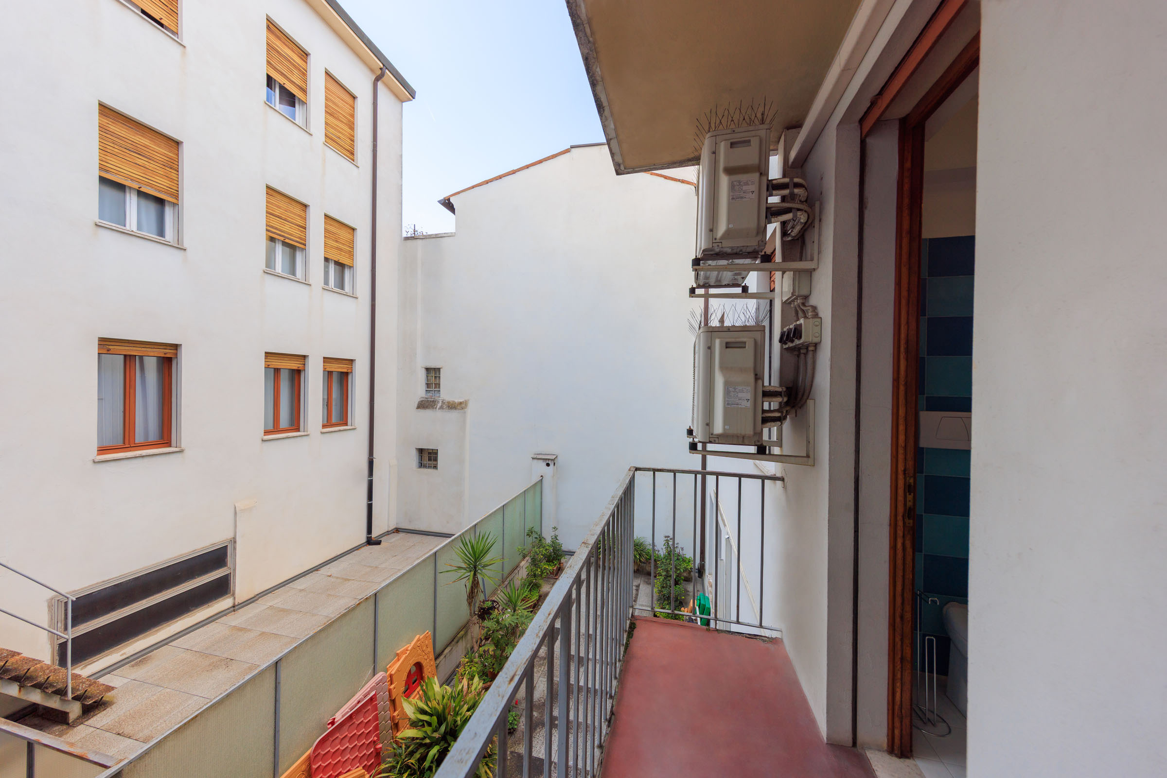 1. LIGUSTRELLO
