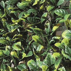 Divy 3D Plus Laurus Haie synthétique 3D en rouleau imitation laurier