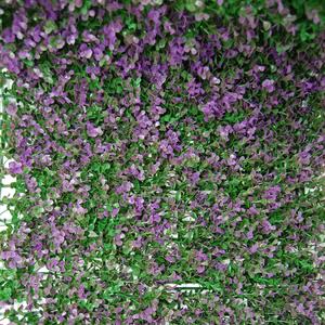 Divy 3D Panel Buxus Lilac Haie synthétique en feuilles de buis lilas en modules à composer