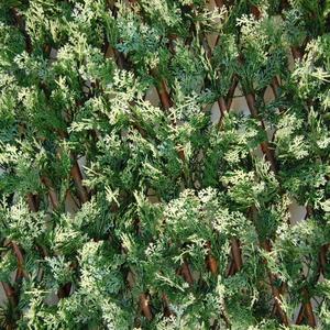 Divy 3D X-Tens Cyprus Haie synthétique en feuilles de cyprès sur treillis en saule naturel