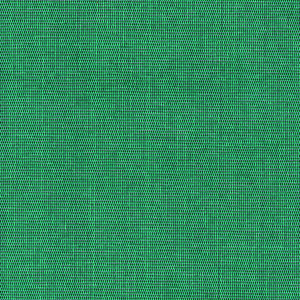 Bahia vert Le brise-vue brillant