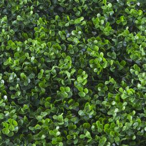 Divy Buxus Intense Synthetic hedge with intense green box leaves in interlocking modules