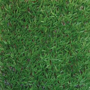 Divy X-Tens Bamboo Haie synthétique en feuilles de bambou sur treillis extensible