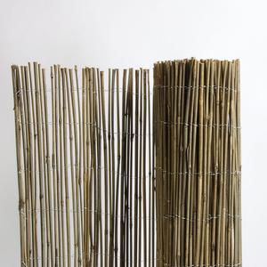 Paillon Time Le paillon résistant