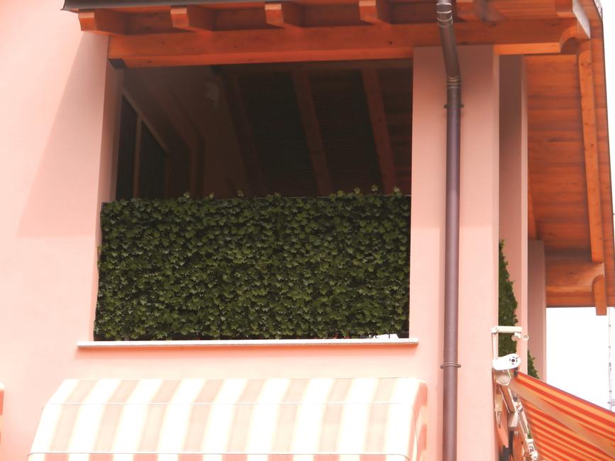 Divy Hedera Hedge made of polyester ivy leaves