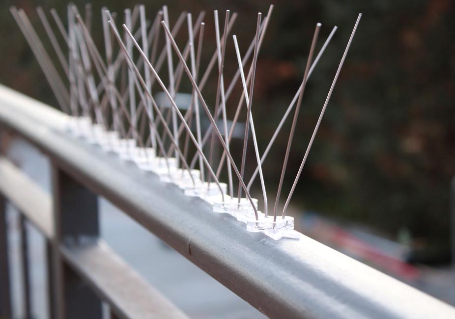 Bird spikes Flexible and efficient