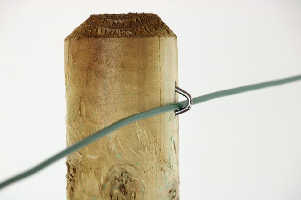 Wood pole staple To lay wire to wood pole