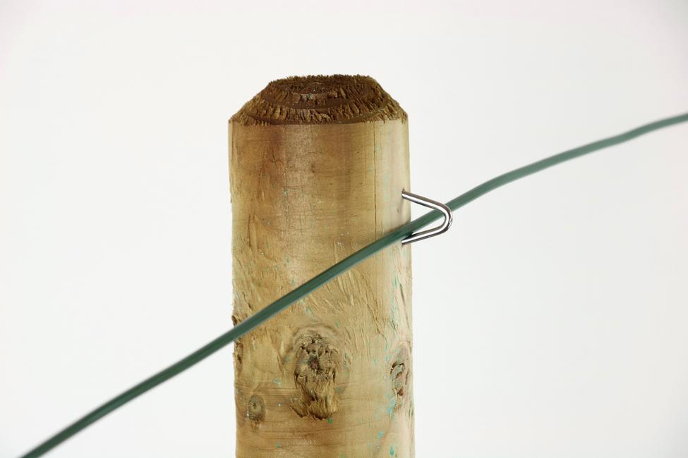Wood pole staple To lay wire to wood pole