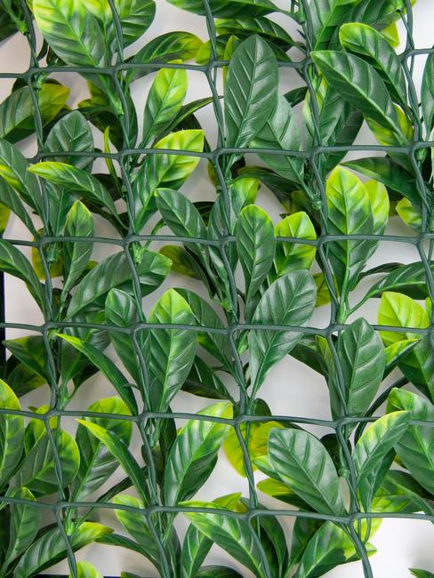 Divy 3D Plus Laurus Haie synthétique 3D en rouleau imitation laurier