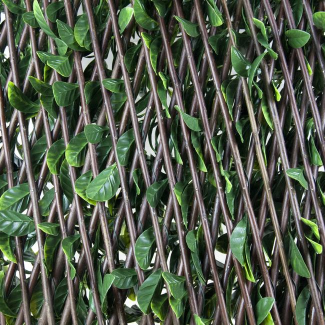 Divy 3D X-Tens Osmanthus Synthetic hedge with Osmanthus leaves on adaptable trellis