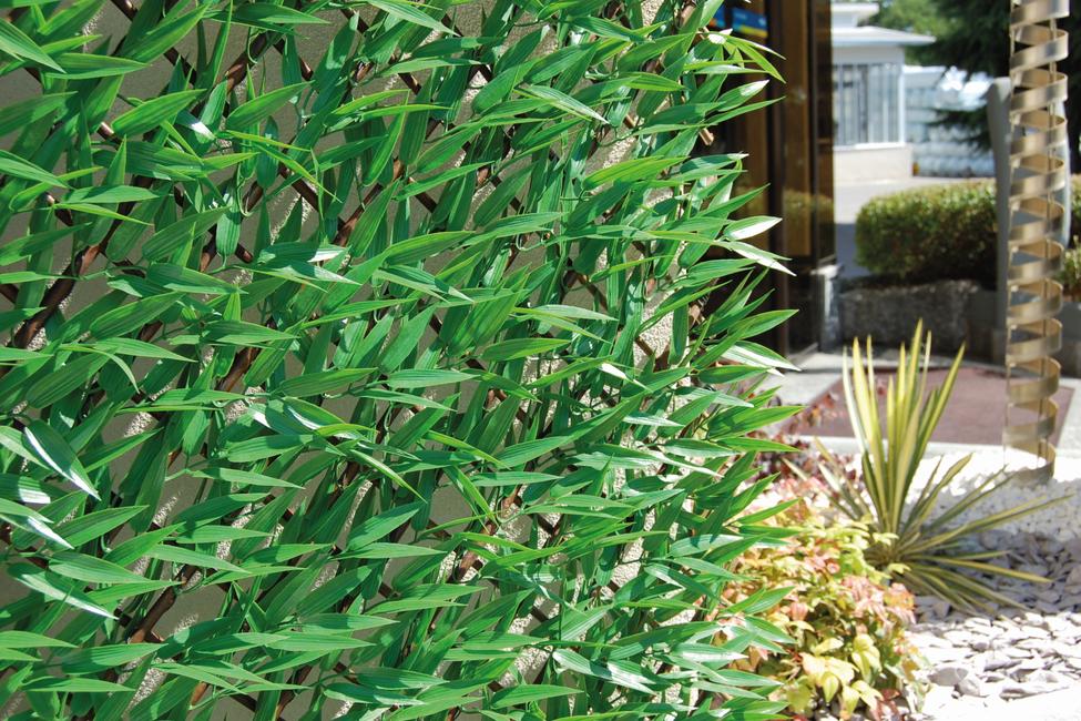 Divy 3D X-Tens Bamboo Synthetic hedge with bamboo leaves on adaptable trellis