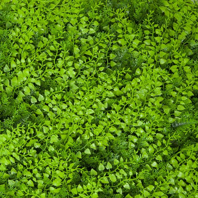 Divy 3D Panel Fern Synthetic hedge with fern leaves in interlocking modules 