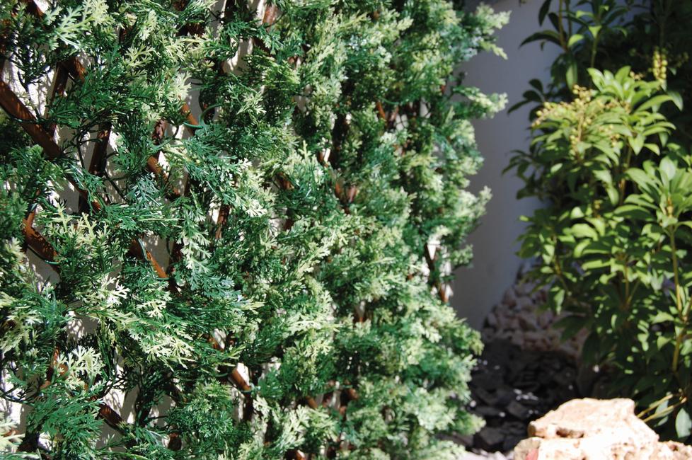Divy 3D X-Tens Cyprus Haie synthétique en feuilles de cyprès sur treillis en saule naturel