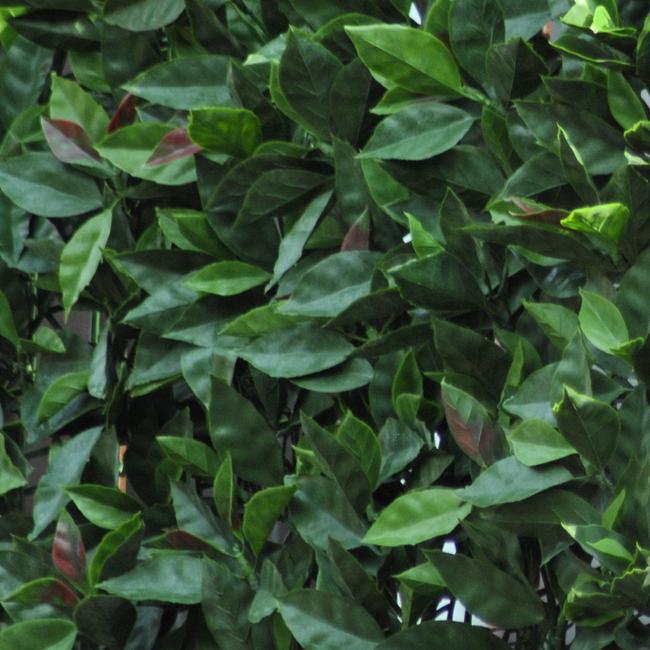Divy 3D Panel Photinia Synthetic hedge with photinia leaves in interlocking modules