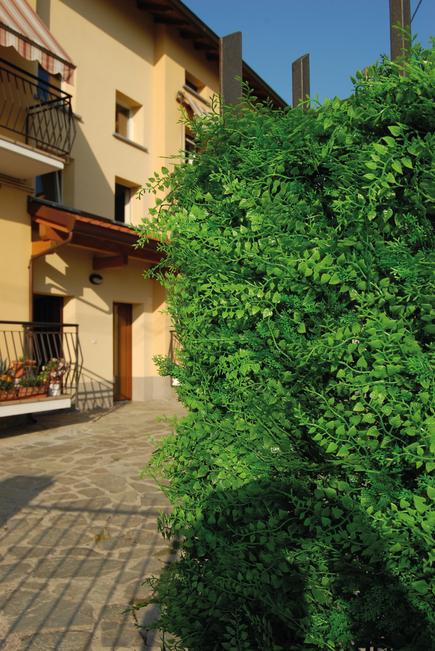 Divy 3D Panel Fern Synthetic hedge with fern leaves in interlocking modules 