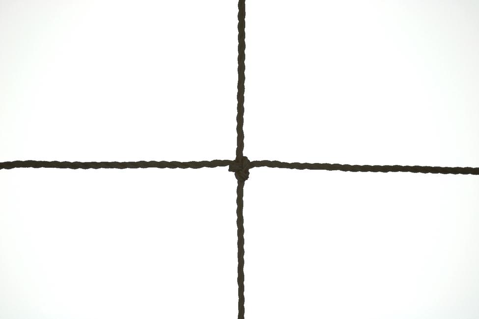 Black coloured 19x19 anti-bird netting Polythene netting for protection against birds