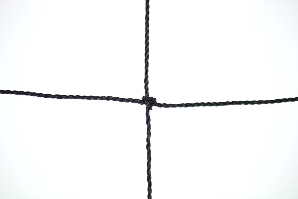 Black coloured 50x50 anti-bird netting Polythene netting for protection against big birds