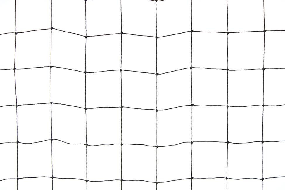 Black coloured 50x50 anti-bird netting Polythene netting for protection against big birds