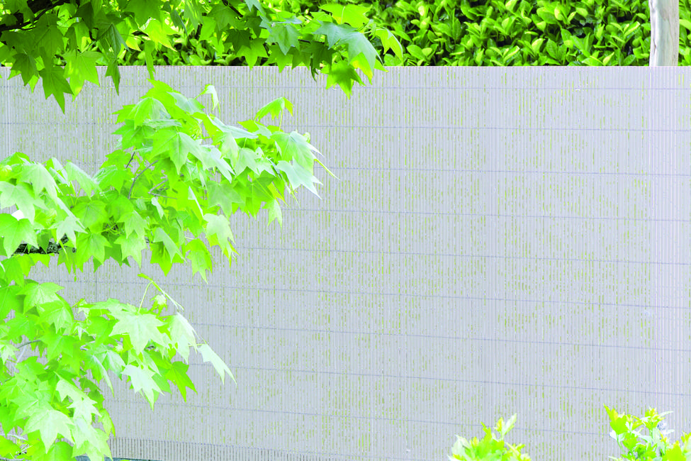 Colorado white Synthetic cane