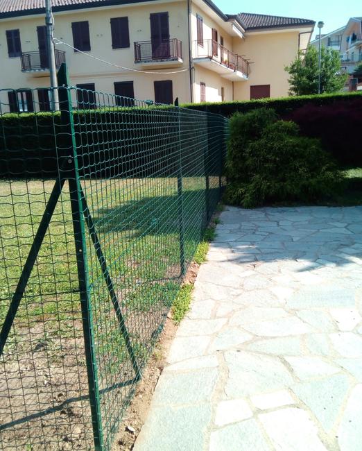 Decoplax evolution The mesh evolution