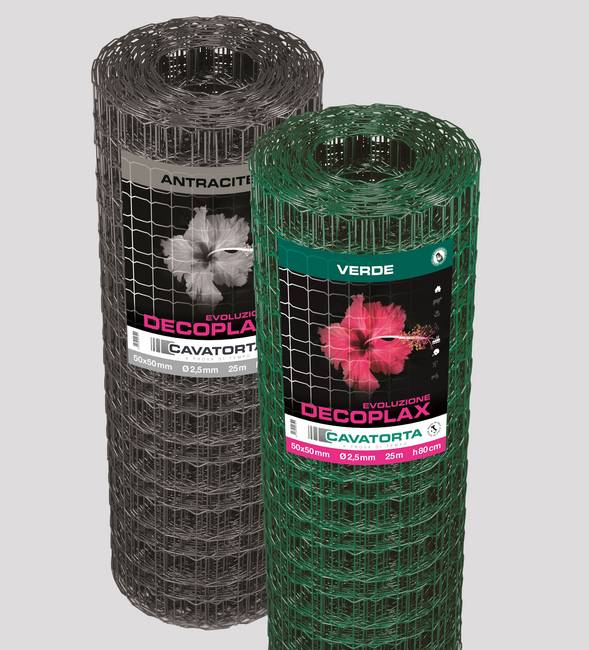 Decoplax Evoluzione L'evoluzione della rete